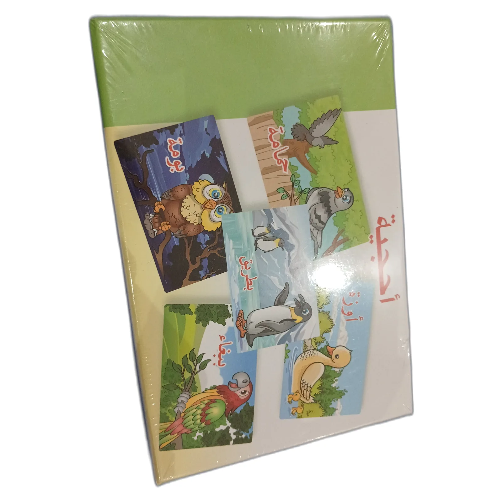 Pack Éveil Éducatif : Cartes Asma + Blocs Bois 54 pièces